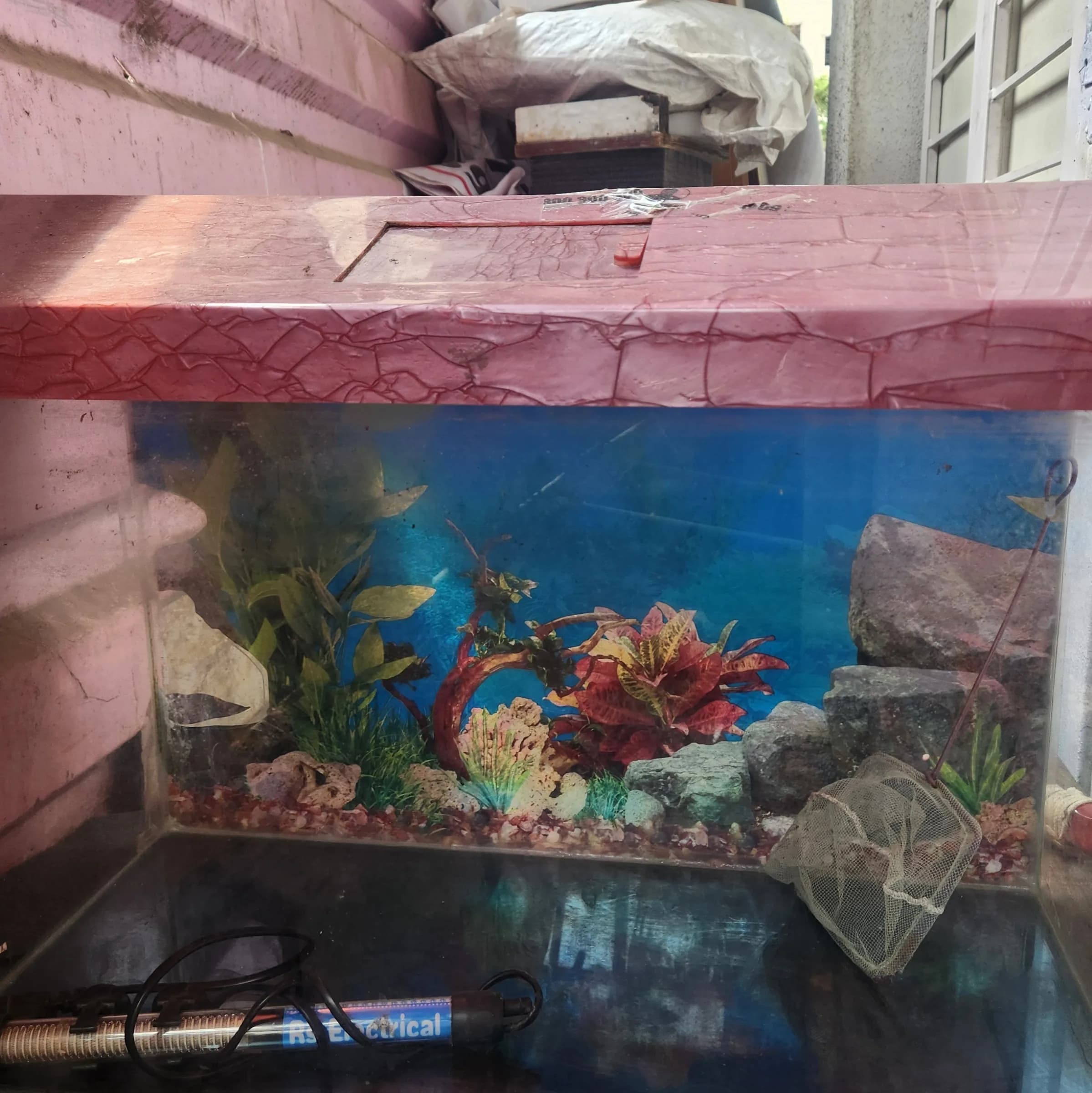 Portrait of Arman Kasambhai Tamboli